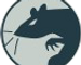 Starfield Neon Street Rat traits Image